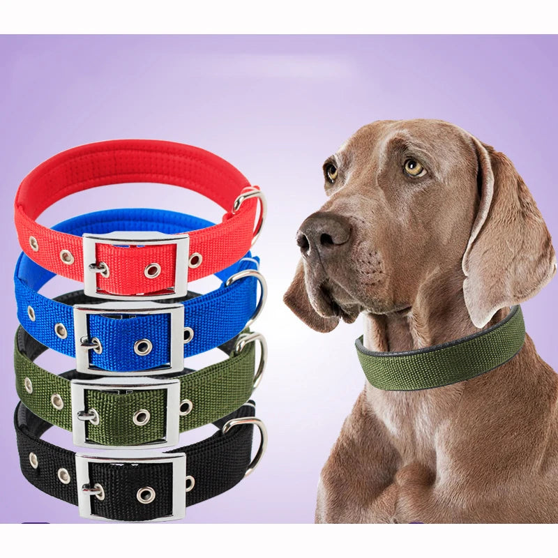 Solid Nylon Dog Collars For Small Medium Large Dogs