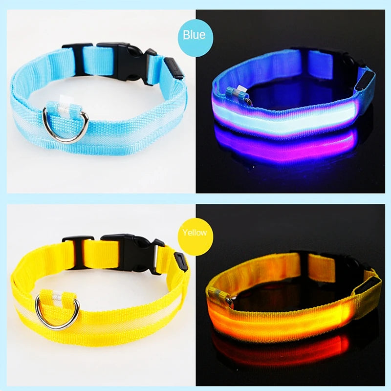 Dog & Cat Luminous Charge Collar Led Usb Collars Detachable