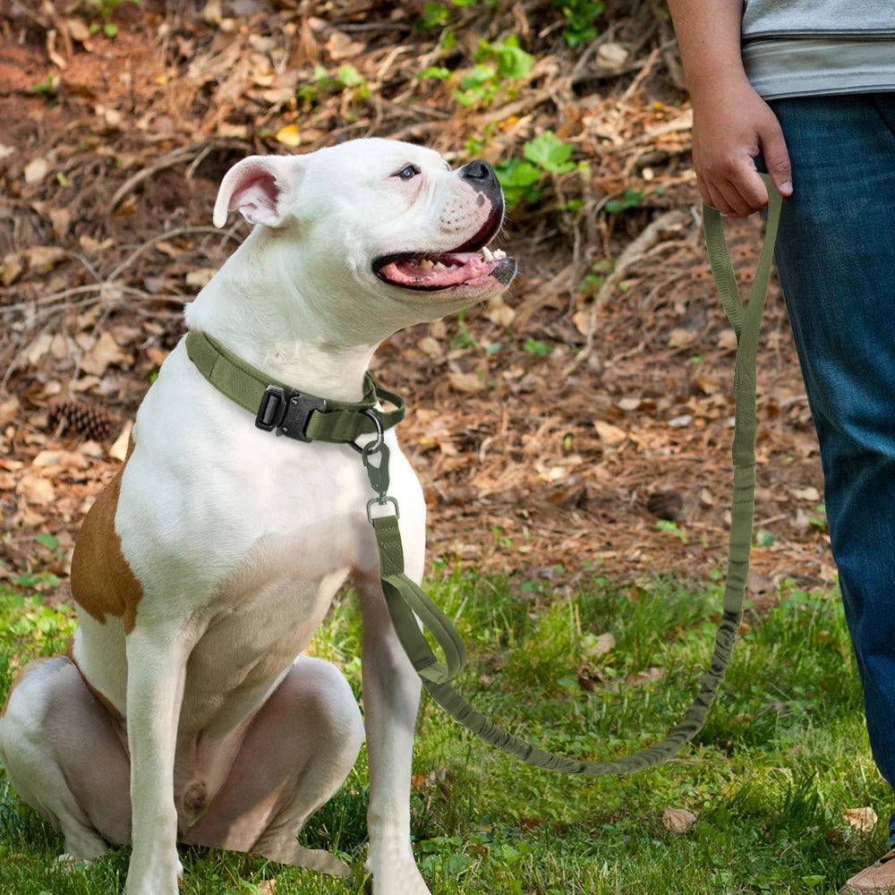 Tactical Military Dog Collar & leash