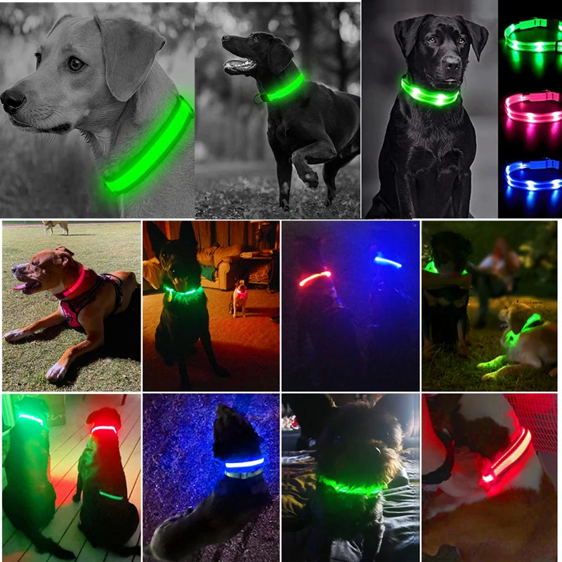 Dog & Cat Luminous Charge Collar Led Usb Collars Detachable