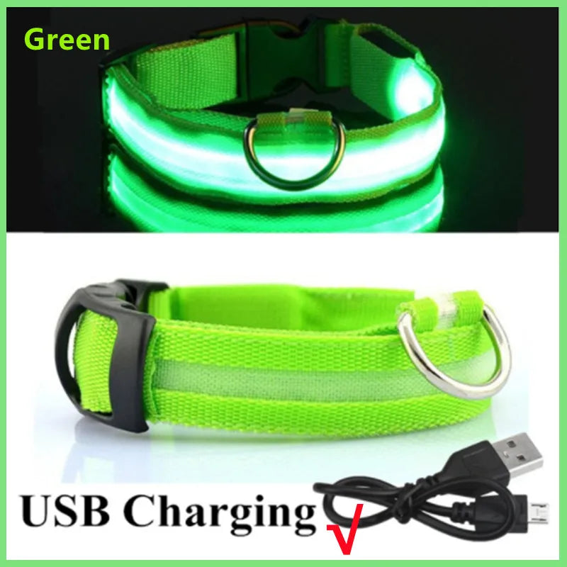 Dog & Cat Luminous Charge Collar Led Usb Collars Detachable