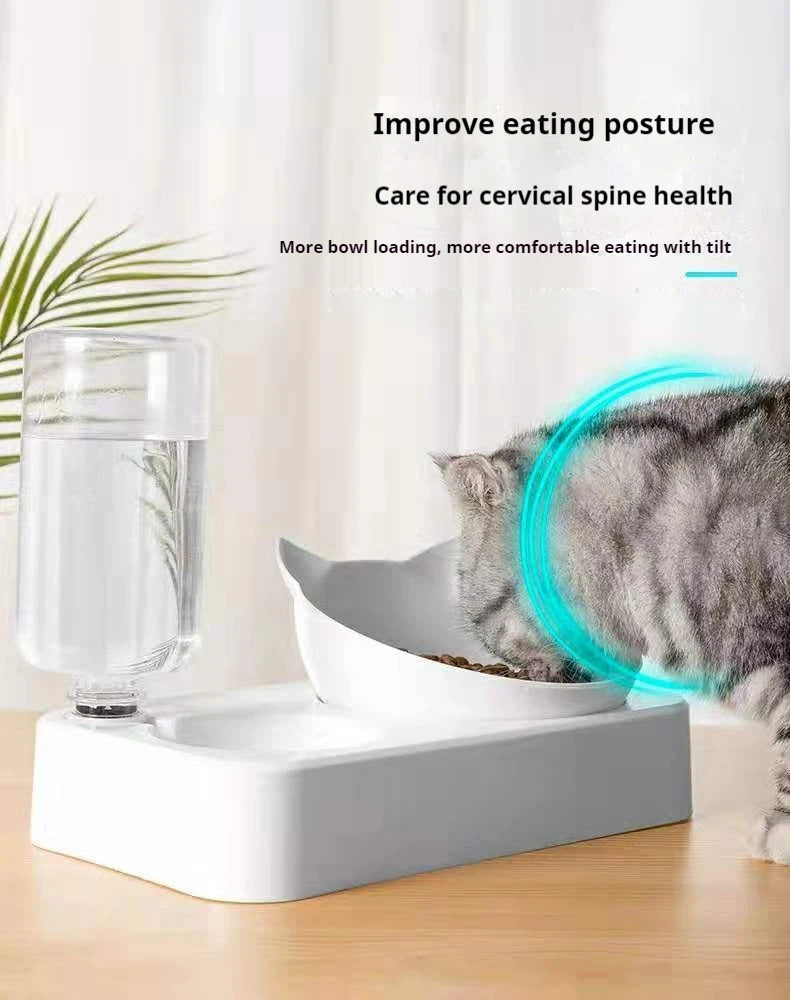 Double Cat Bowl for food & water with Automatic Water Bottle-Pet Feeder