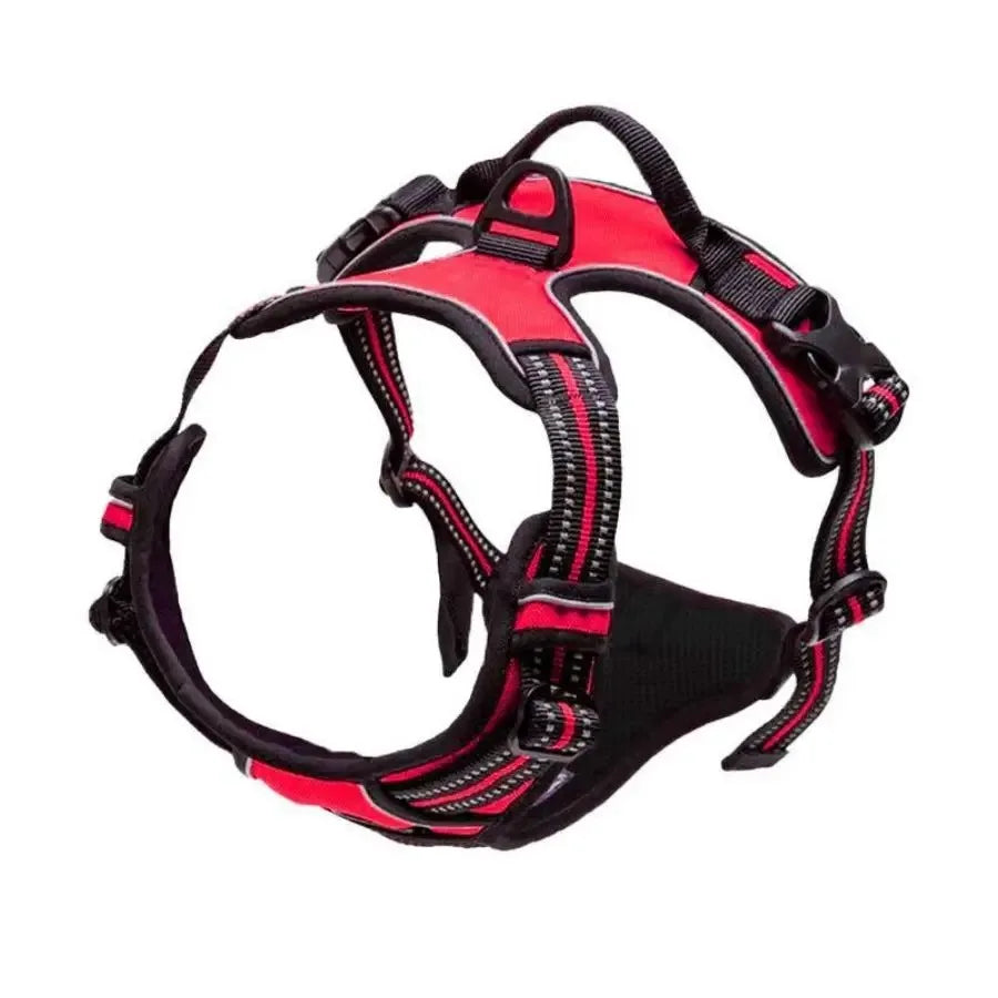 Dog Collars Harness Vests