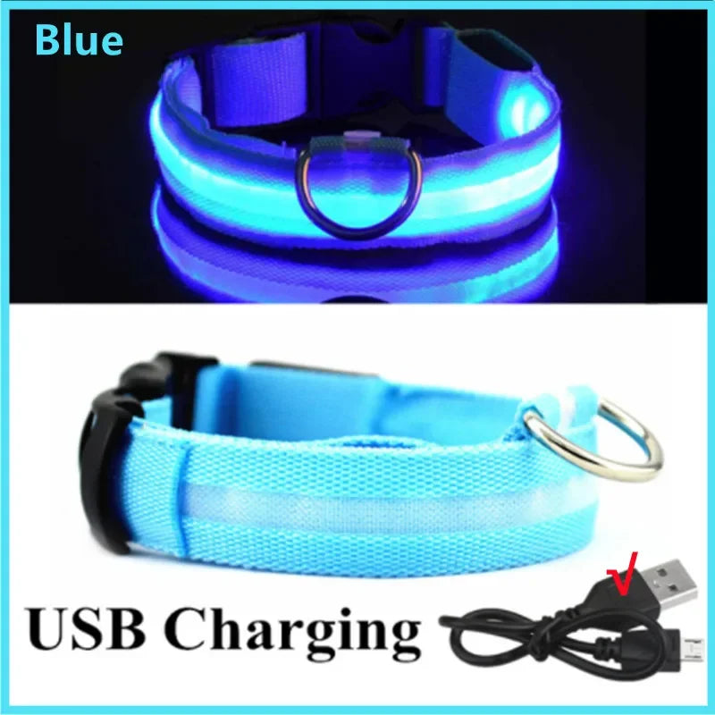 Dog & Cat Luminous Charge Collar Led Usb Collars Detachable