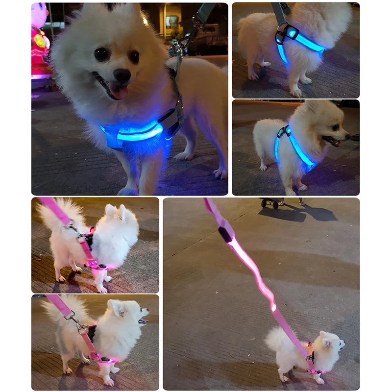 Flashing Light LED Dog Safety Harness