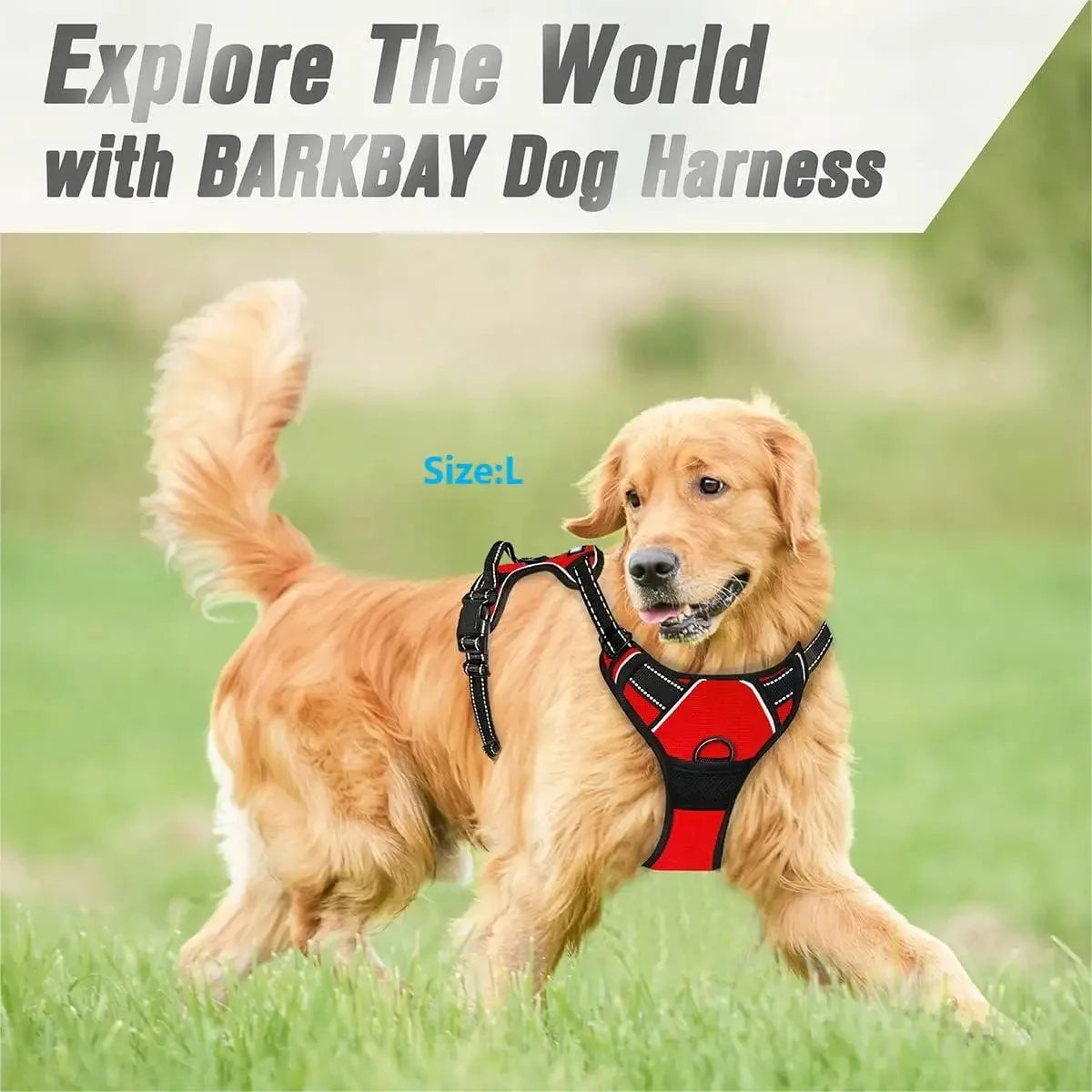 Dog Collars Harness Vests