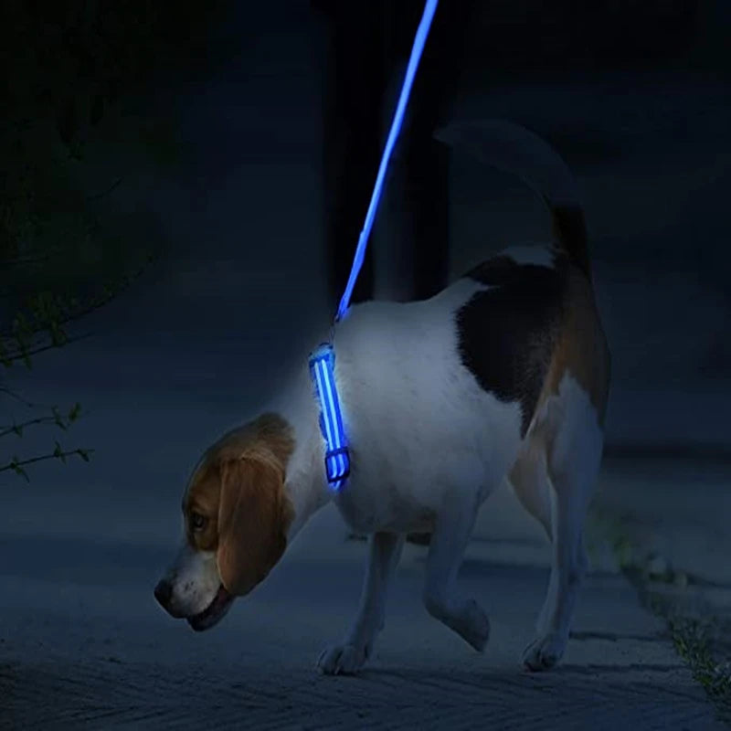 Dog & Cat Luminous Charge Collar Led Usb Collars Detachable