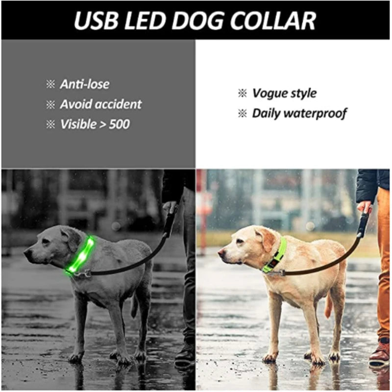 Dog & Cat Luminous Charge Collar Led Usb Collars Detachable