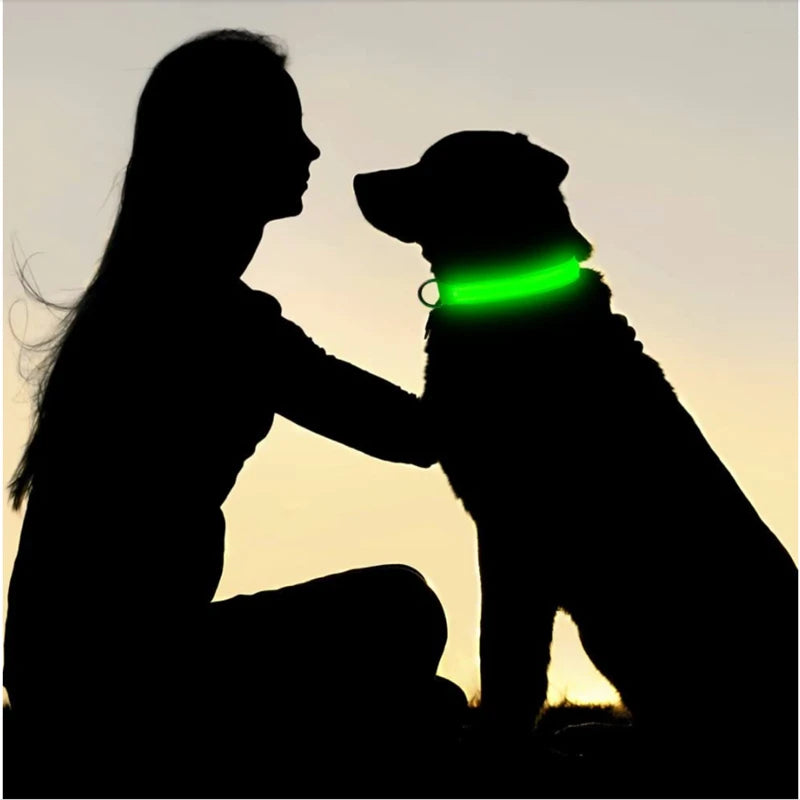 Dog & Cat Luminous Charge Collar Led Usb Collars Detachable