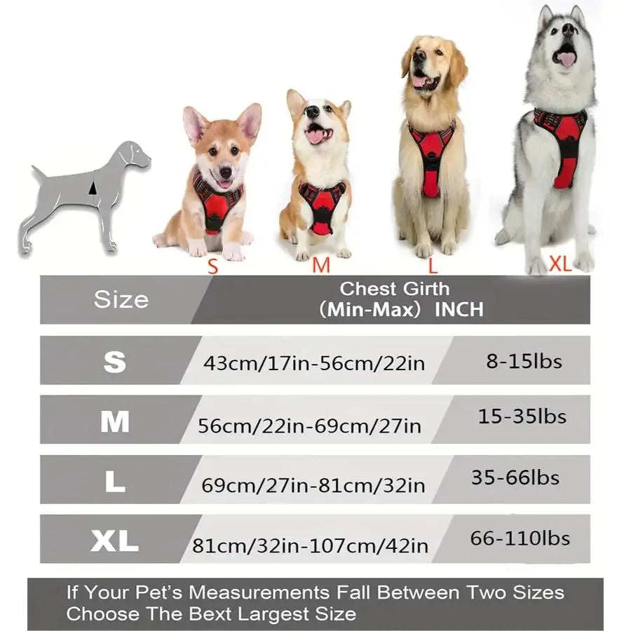 Dog Collars Harness Vests