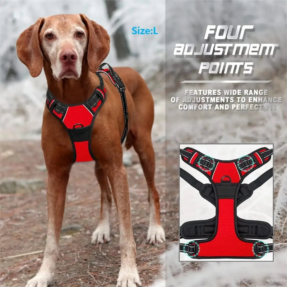 Dog Collars Harness Vests