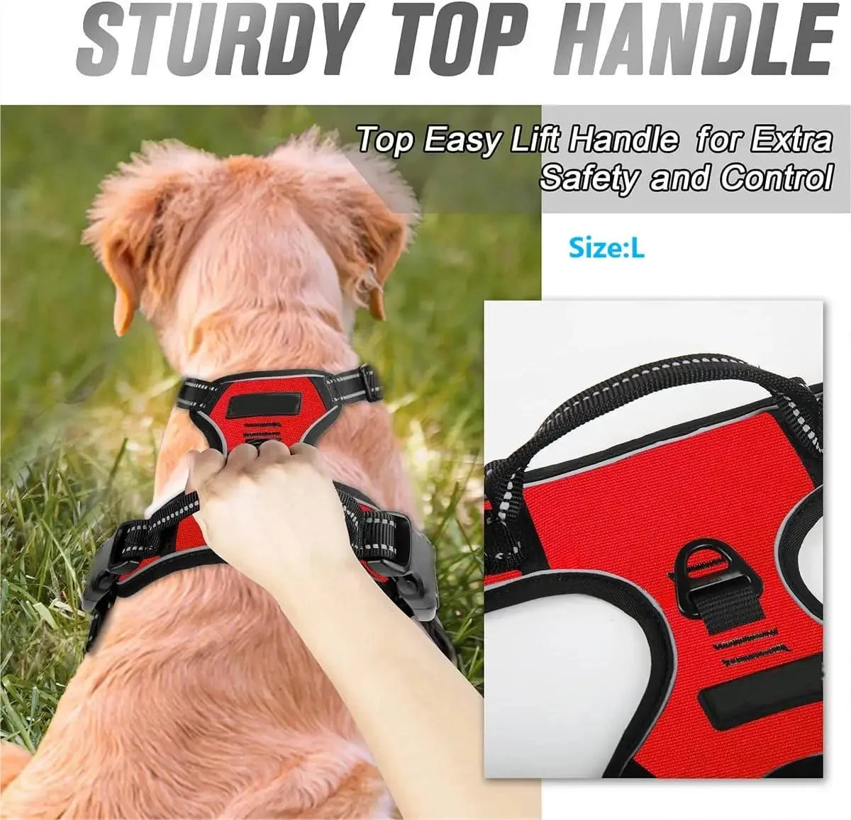 Dog Collars Harness Vests