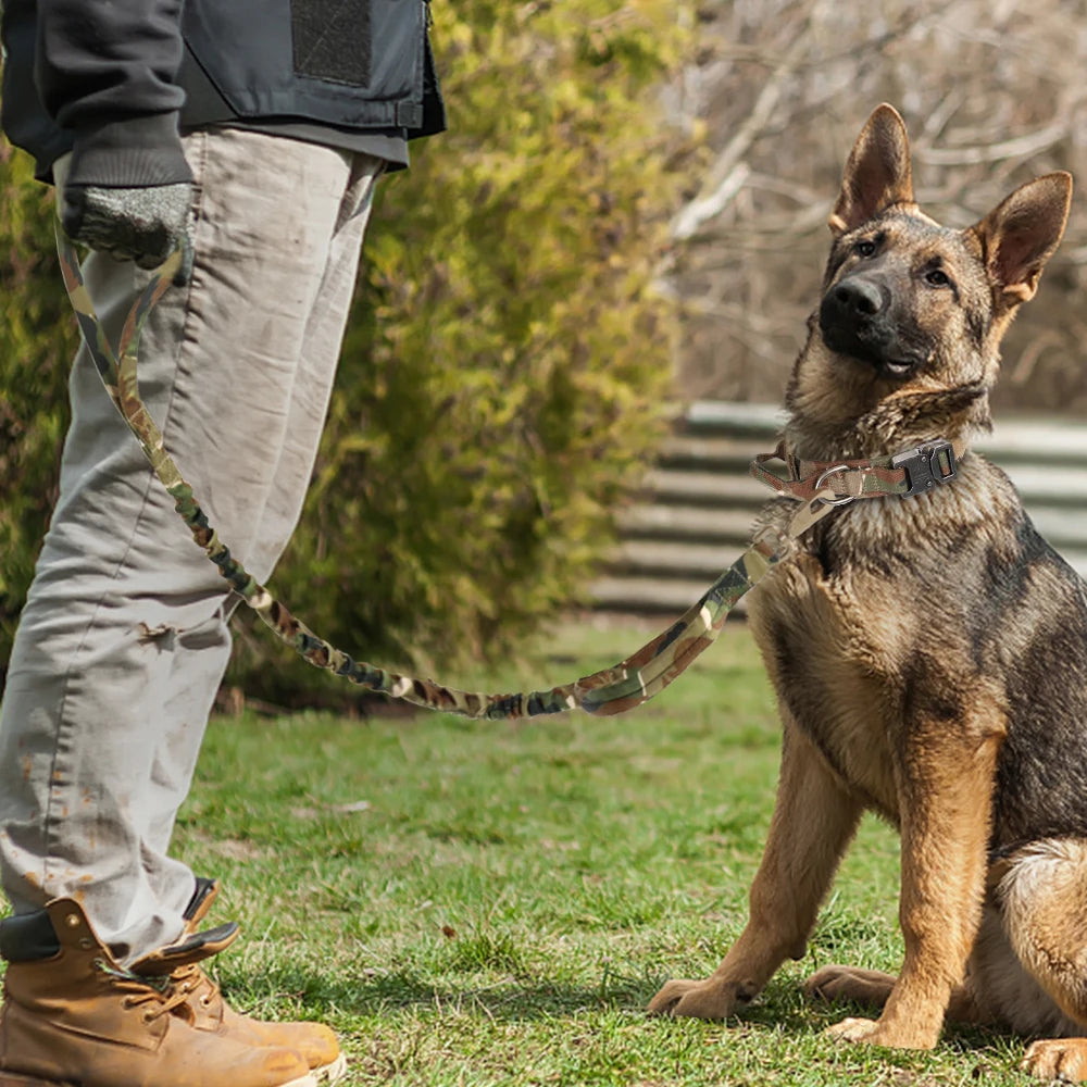 Tactical Military Dog Collar & leash